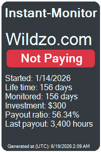 instant-monitor.com