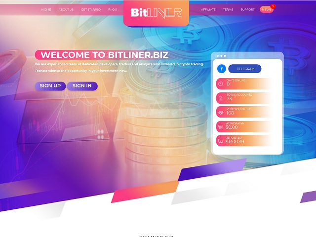 bitliner.biz_640.jpg