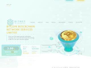 bitnetworkers.com comments, status, review, legit, scam, paying, votes, review