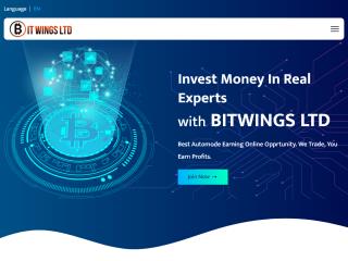 bitwings.top comments, status, review, legit, scam, paying, votes, review